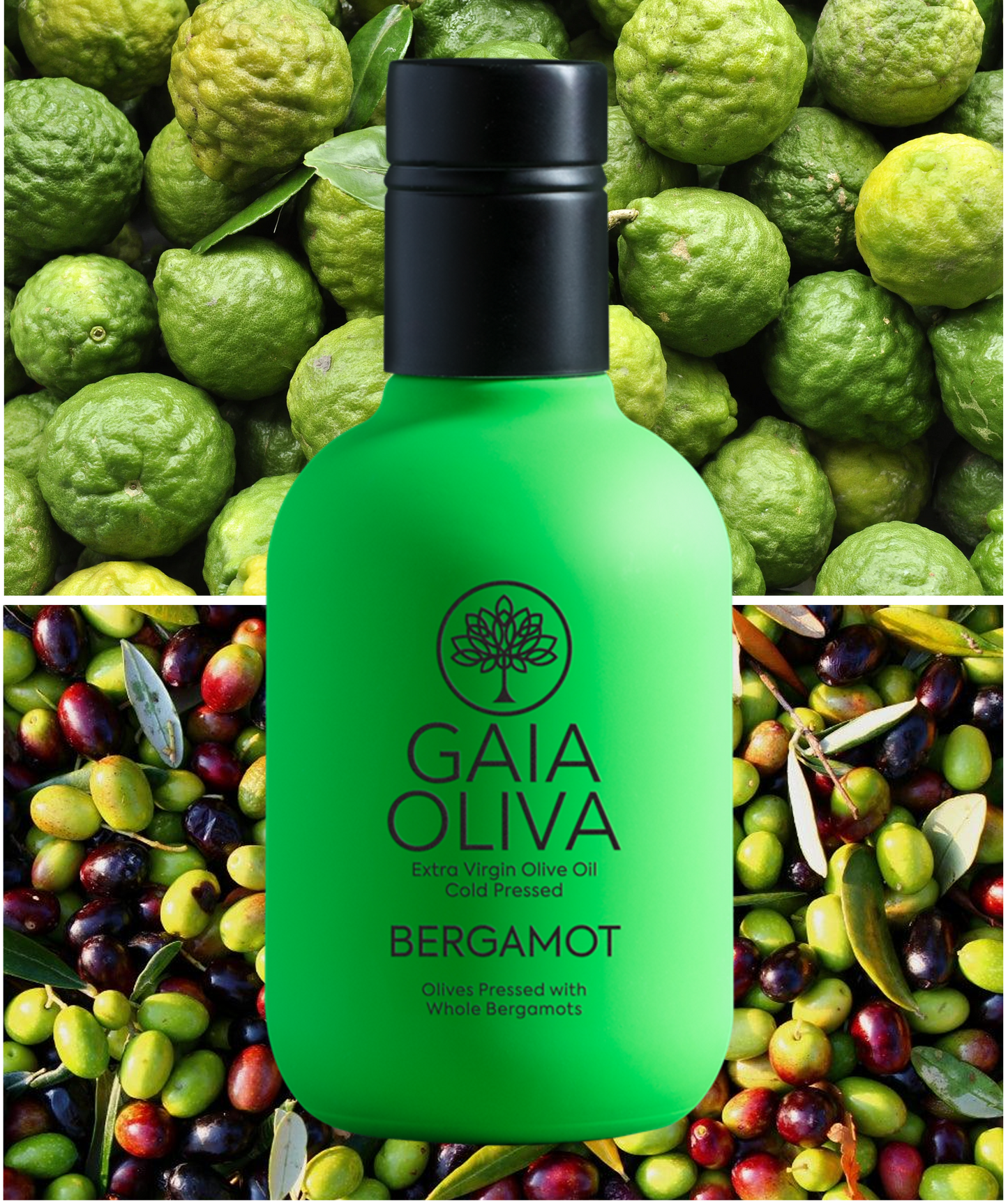 [ベルガモット] フレーバーオリーブオイル 250ml