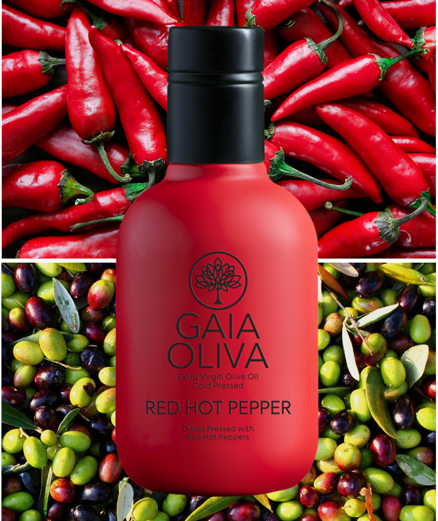 [赤唐辛子] フレーバーオリーブオイル 250ml