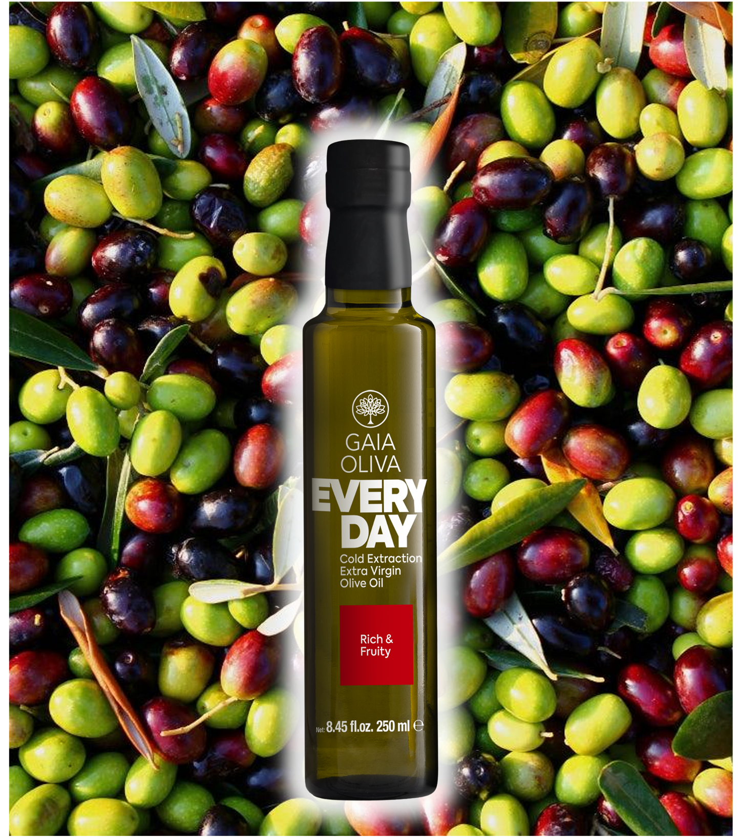 エブリデイ・オリーブオイル 250ml